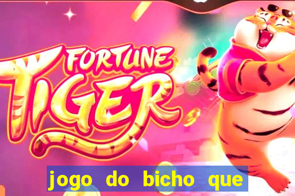 jogo do bicho que paga no pix